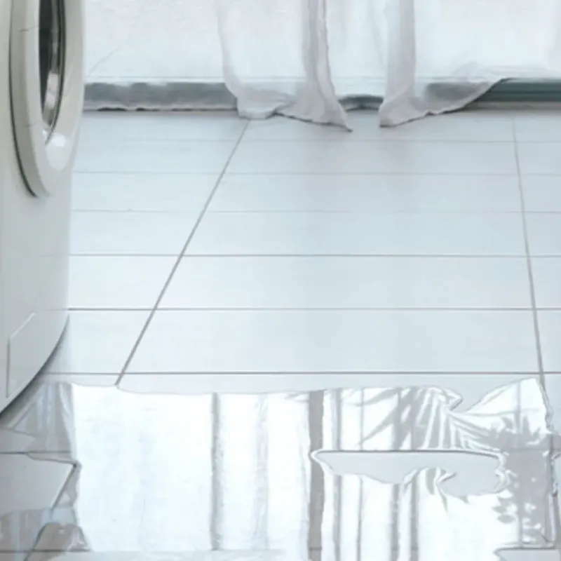 Appliance Leak Cleanup in Henderson, KY